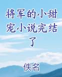 将军的小甜宠小说完结了
