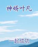 神婿叶凡免费小说
