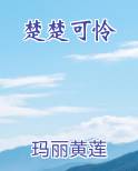 楚楚可怜排行榜完结版