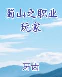 蜀山之职业玩家