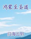 鸿蒙至圣道原著小说