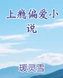 上瘾偏爱小说