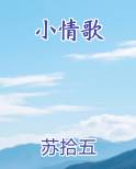 小情歌小说全集