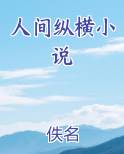 人间纵横小说