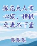 探花大人掌心宠，糟糠之妻不下堂免费阅读笔趣阁