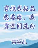 穿越成极品恶婆婆，我靠空间洗白