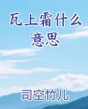 瓦上霜什么意思最新章节全文免费阅读