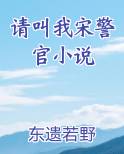 请叫我宋警官小说