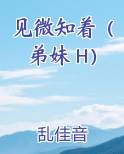 见微知著小说