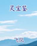 灵宝鉴